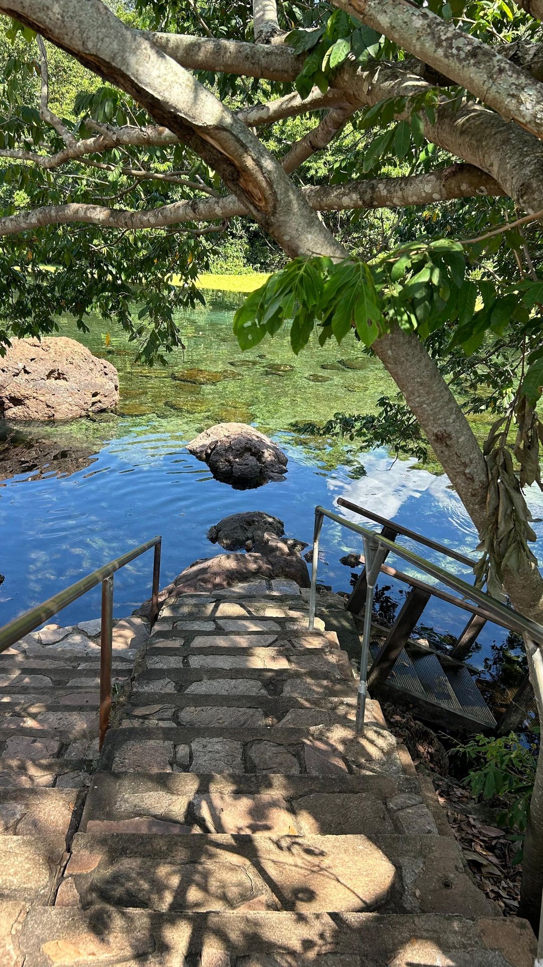 Stone steps leading to a clear natural pool surrounded by trees and rocks.